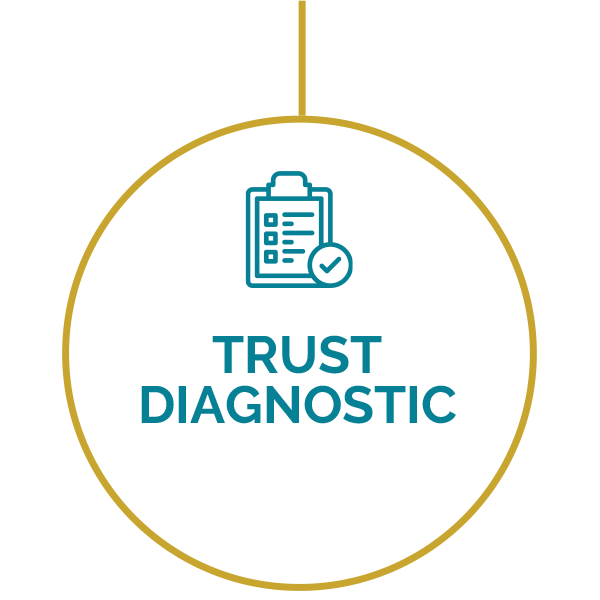 Phase 1: Trust Diagnostic