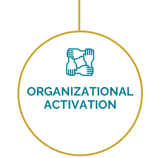 Phase 4: Organizational Activation