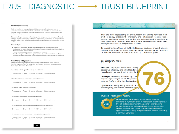 Trust Diagnostic leads to the Trust Blueprint